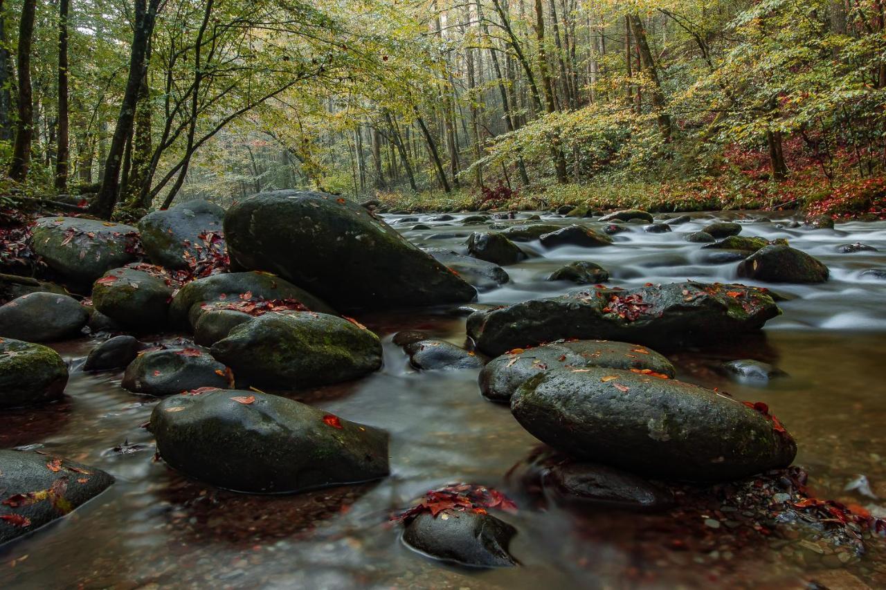 Lazy Bear Den Villa Sevierville Luaran gambar