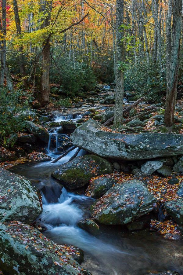 Lazy Bear Den Villa Sevierville Luaran gambar