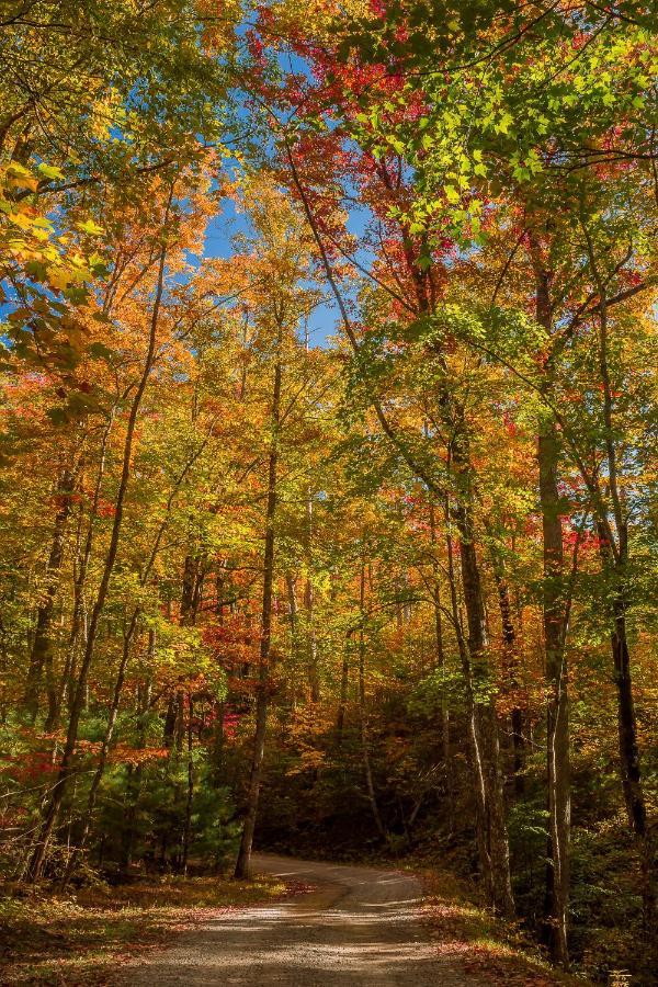 Lazy Bear Den Villa Sevierville Luaran gambar