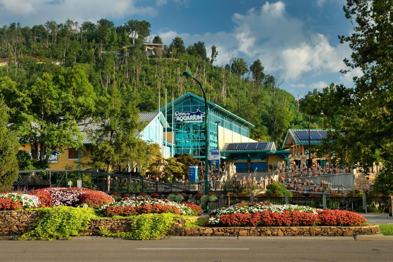 Lazy Bear Den Villa Sevierville Luaran gambar